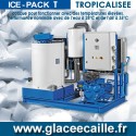 Glace en écaille TROPICALISE 6 tonnes