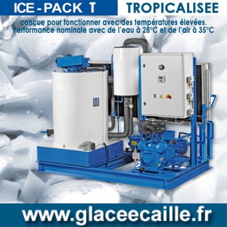 Production de Glace en écaille TROPICALISE