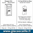 SAC DE GLACE de 3,6 kg par 1000