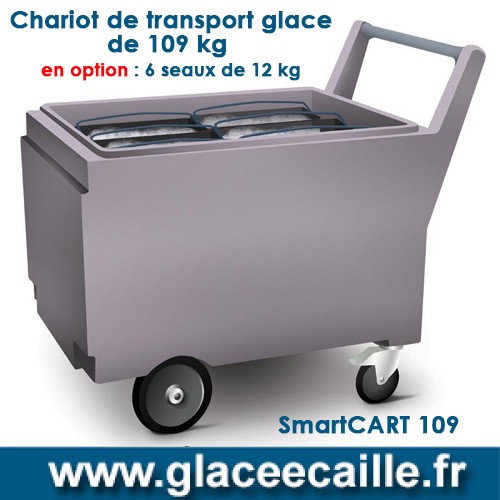 Chariot à glace professionnel pour vente ambulante avec vitrine intégrée - Kiosque Ambulant