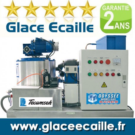 Glace écaille paillette pour poissonnier pèche et aquaculture - 2000 kilos  par 24h