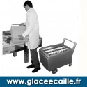 BAC DE STOCKAGE 968 KG SUR BASE AVEC 2 CHARIOTS