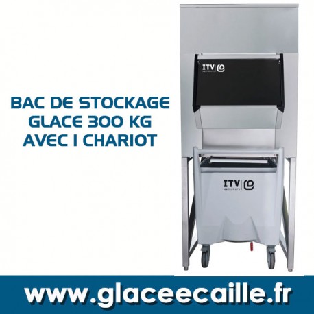 BAC DE STOCKAGE GLACE 300 KG AVEC CHARIOT