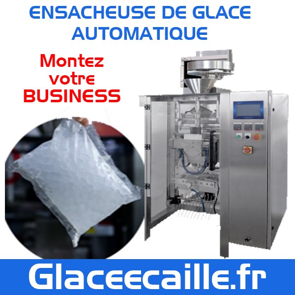 ENSACHEUR DE GLACE AUTOMATIQUE