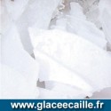 Glace écaille 400 kg paillette pour poissonnier pèche et aquaculture