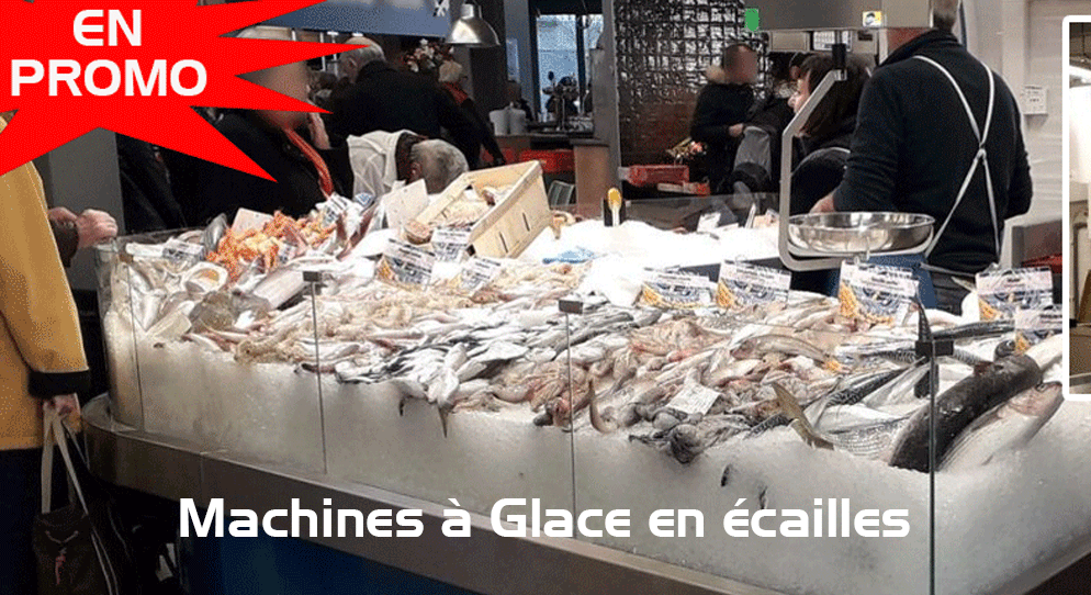 INDUSTRIE DE LA PECHE