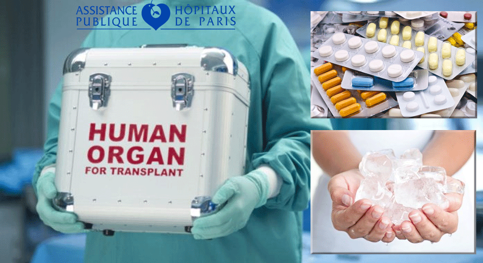 MEDICAL - PHARMA